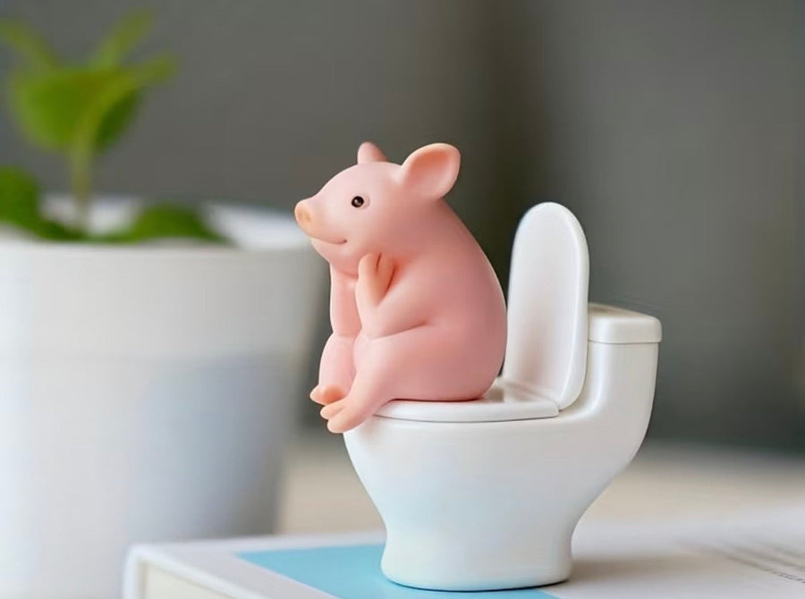 Gifts & Fun Finds