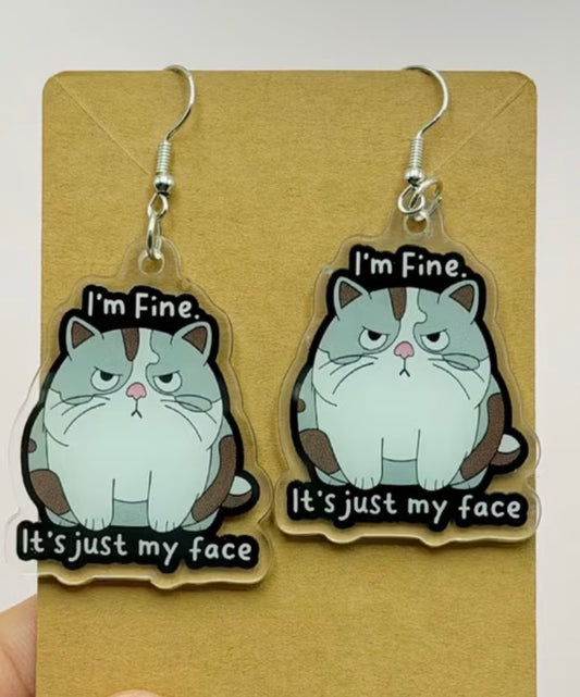 Pair of Cute Cat Acrylic Earrings