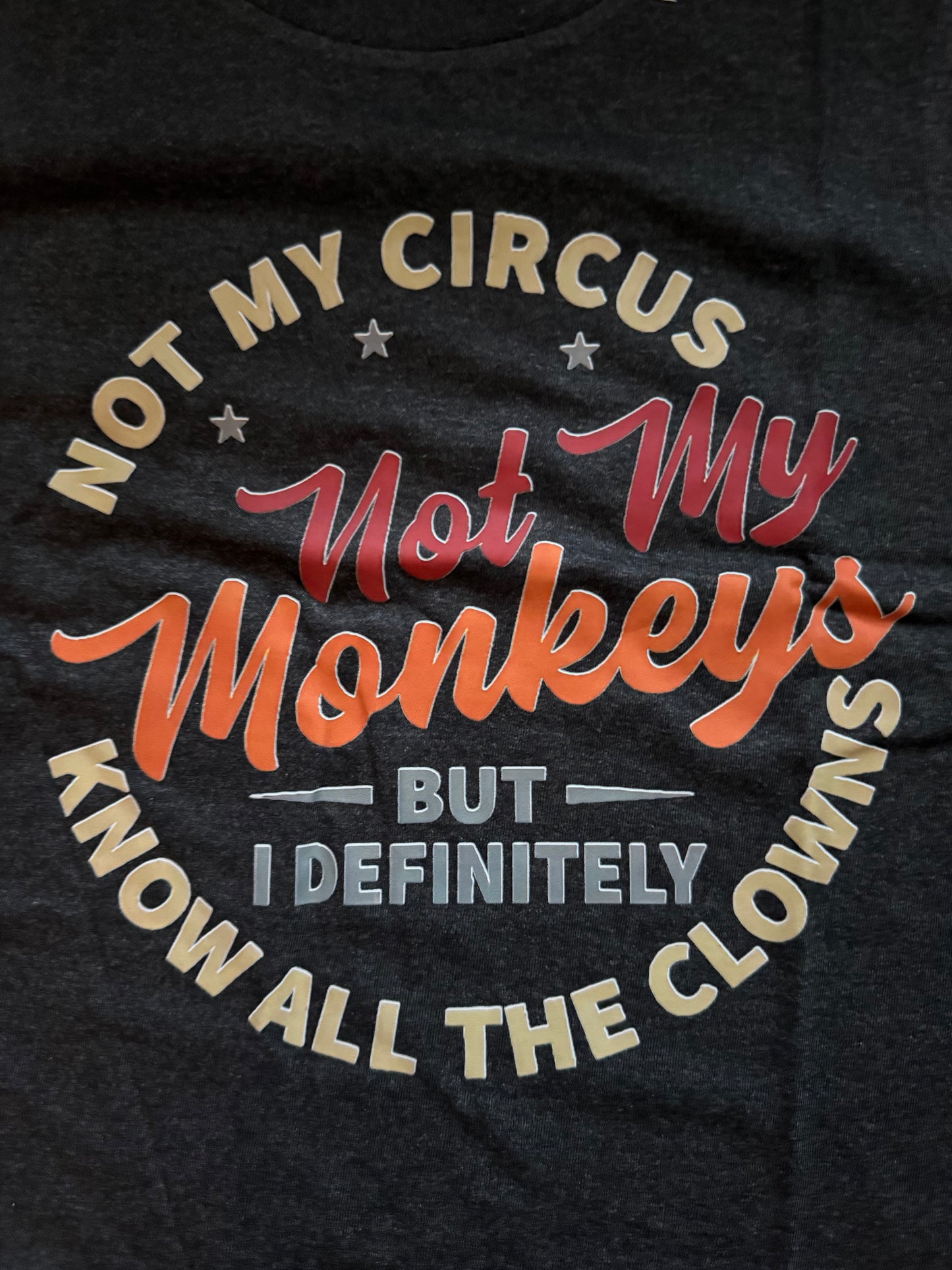 "NOT MY CIRCUS, NOT MY MONKEYS, BUT I DEFINITELY KNOW ALL THE CLOWNS" T-SHIRT