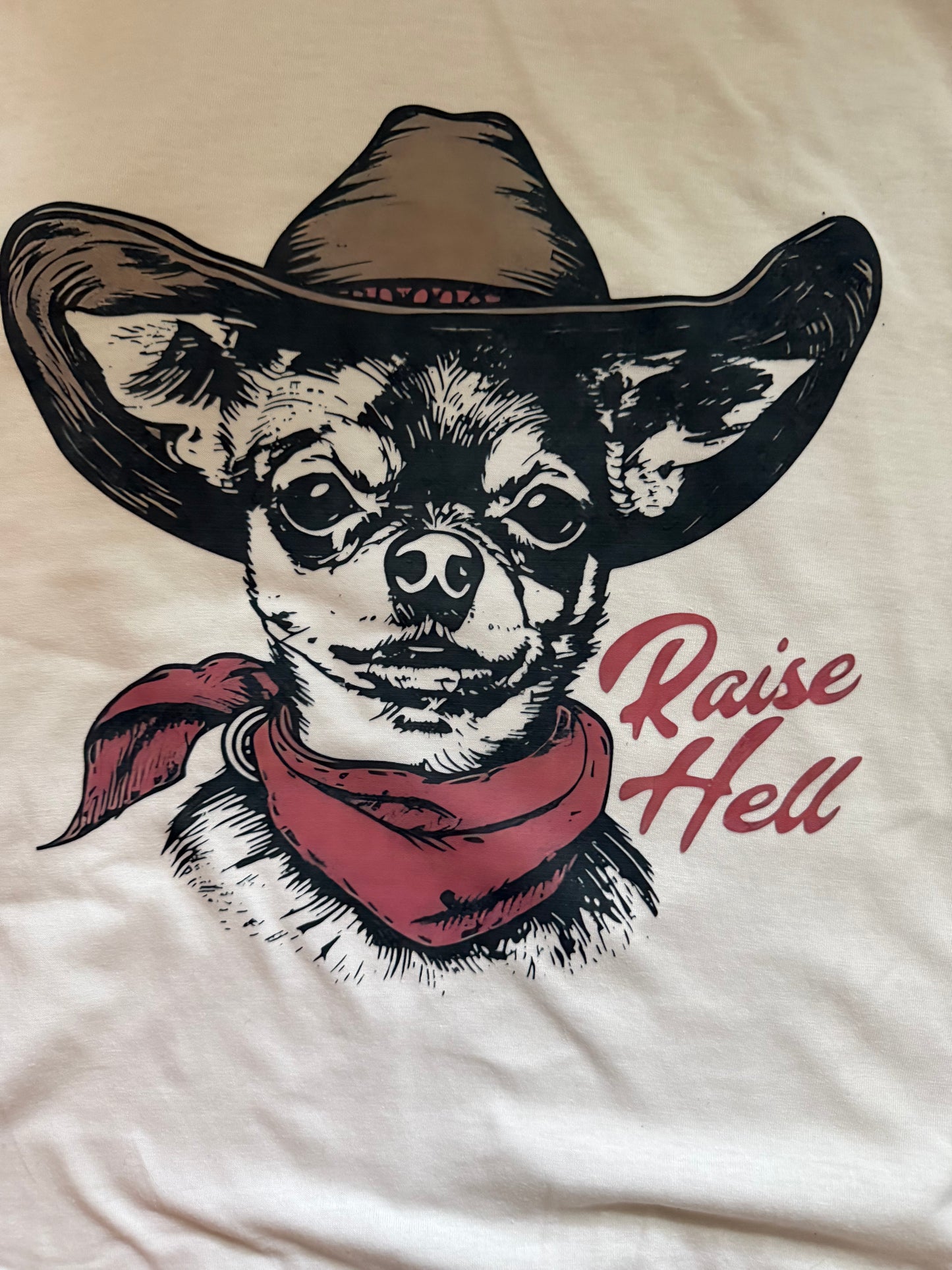 RAISE HELL T-SHIRT