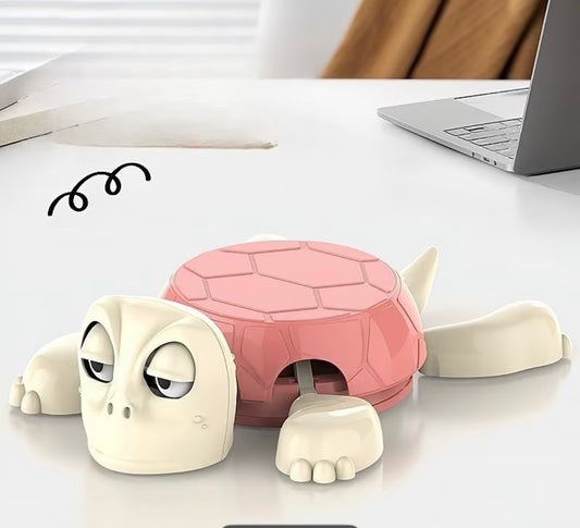 TURTLE COASTER